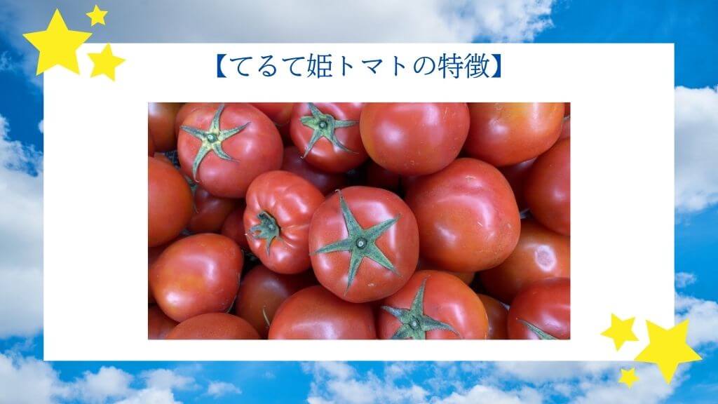 茨城県｜スーパーフルーツトマトてるて姫のお取り寄せ方法を紹介！(青空レストラン4/6放送)